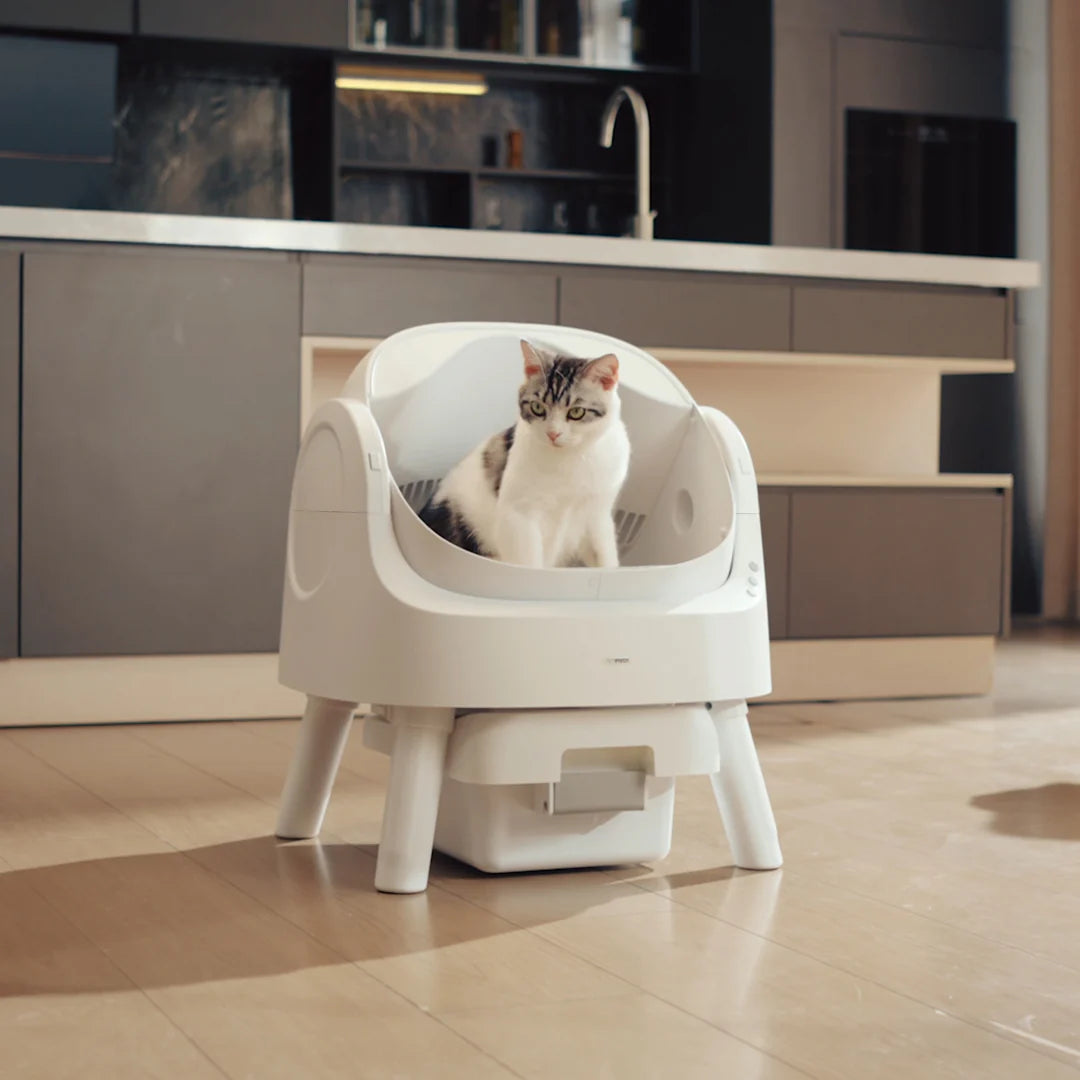 Autoscooper 11 Smart Cat Litter Box