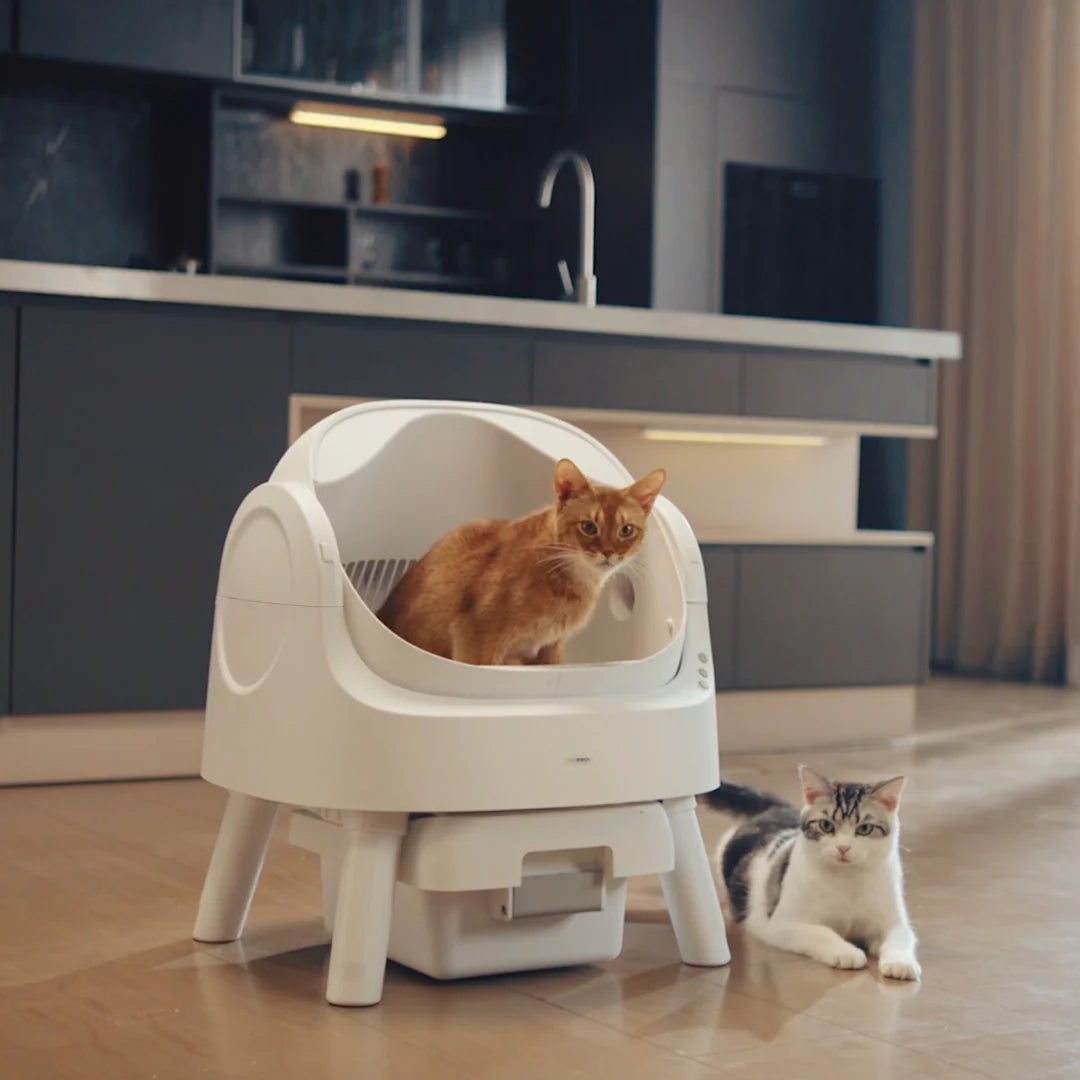 Autoscooper 11 Smart Cat Litter Box